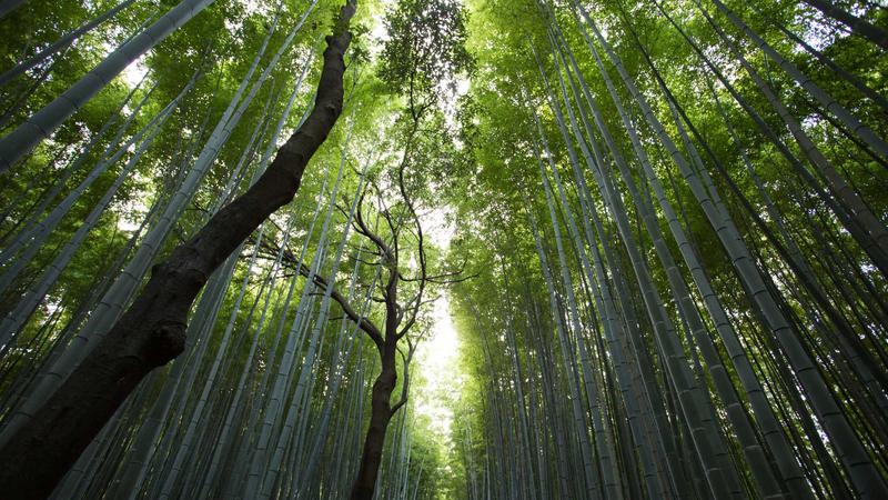 白菜项目论坛项目库精选项目展示